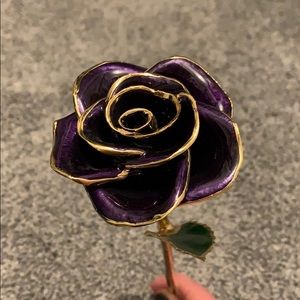 Steven Singer 24k Gold dipped rose